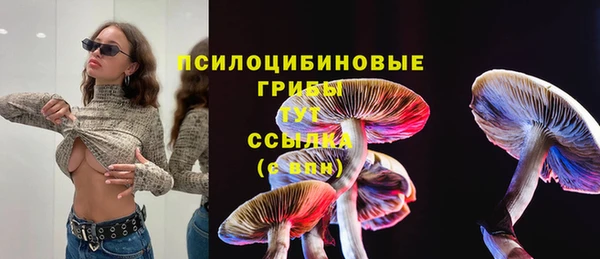 каннабис Арсеньев